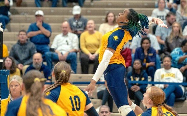 stories/etamu-volleyball-2024.jpg